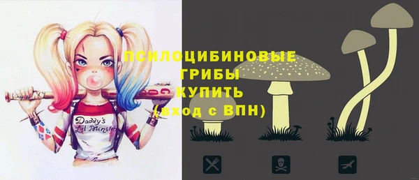 кокс Алексин