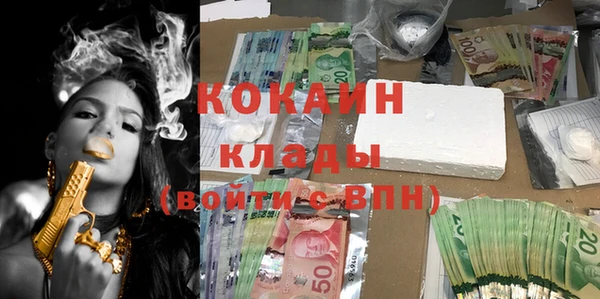 кокс Алексин