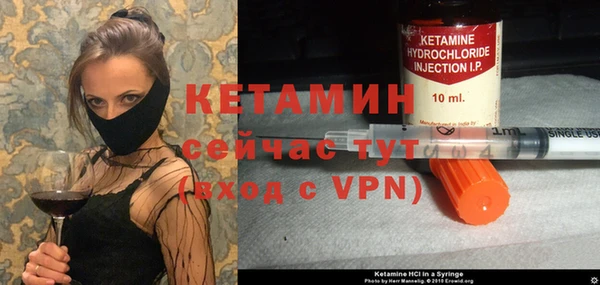 шишки Каменка