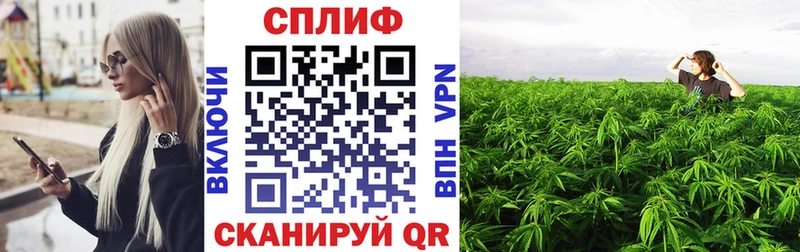 купить наркотики сайты  Нижний Новгород  Шишки марихуана White Widow 